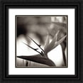 thumbnail image 1 of Blaustein, Alan 15x15 Black Ornate Wood Framed with Double Matting Museum Art Print Titled - Florison - 29, 1 of 4