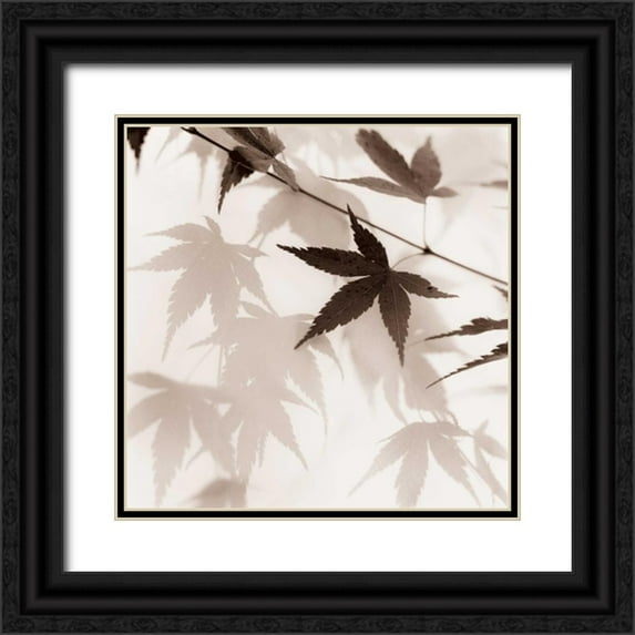 Blaustein, Alan 15x15 Black Ornate Wood Framed with Double Matting Museum Art Print Titled - Japanese Maple Leaves No. 2