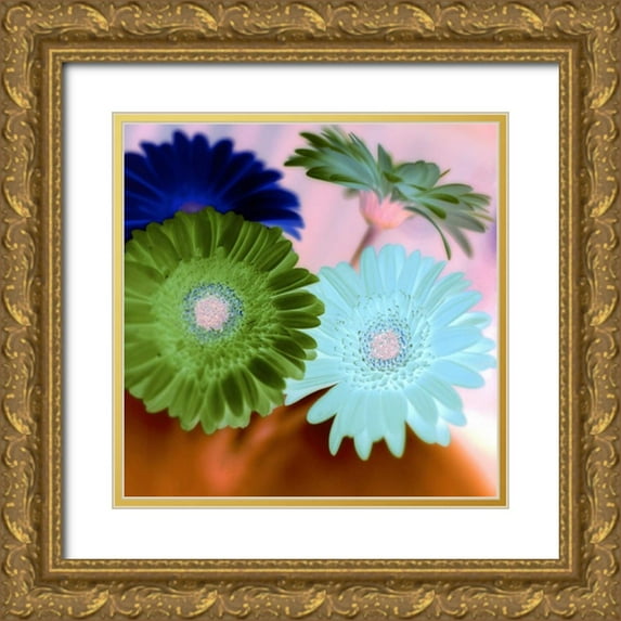 Blaustein, Alan 15x15 Gold Ornate Wood Framed with Double Matting Museum Art Print Titled - Floral Color - 2