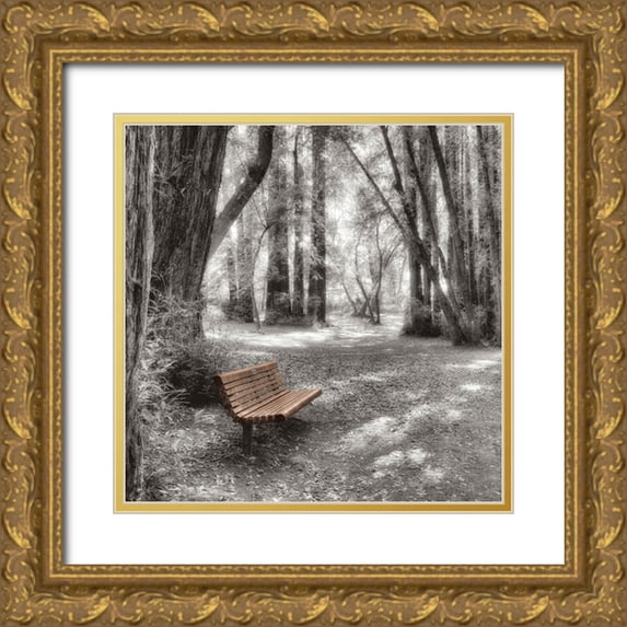 Blaustein, Alan 15x15 Gold Ornate Wood Framed with Double Matting Museum Art Print Titled - Old Mill Park