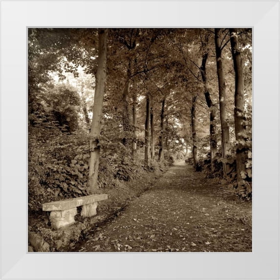 Blaustein, Alan 15x15 White Modern Wood Framed Museum Art Print Titled - Fiesole Giardini - 2