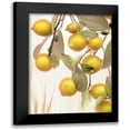 thumbnail image 1 of Blaustein, Alan 15x18 Black Modern Framed Museum Art Print Titled - Lemons - 1, 1 of 5