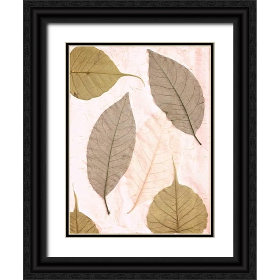Blaustein, Alan 15x18 Black Ornate Wood Framed with Double Matting Museum Art Print Titled - Floral - 23