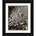 thumbnail image 1 of Blaustein, Alan 15x18 Black Ornate Wood Framed with Double Matting Museum Art Print Titled - Florison - 10, 1 of 4