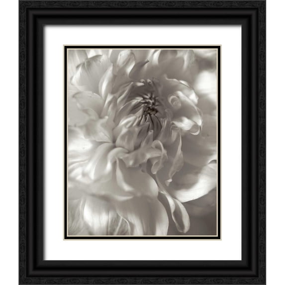 Blaustein, Alan 15x18 Black Ornate Wood Framed with Double Matting Museum Art Print Titled - Florison - 18