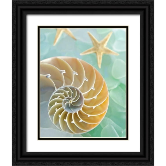 Blaustein, Alan 15x18 Black Ornate Wood Framed with Double Matting Museum Art Print Titled - Seaglass 2