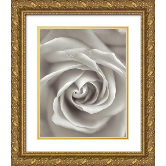 Blaustein, Alan 15x18 Gold Ornate Wood Framed with Double Matting Museum Art Print Titled - Florison - 23