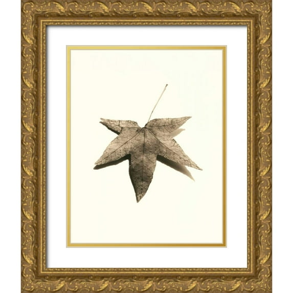 Blaustein, Alan 15x18 Gold Ornate Wood Framed with Double Matting Museum Art Print Titled - Japanese Maple