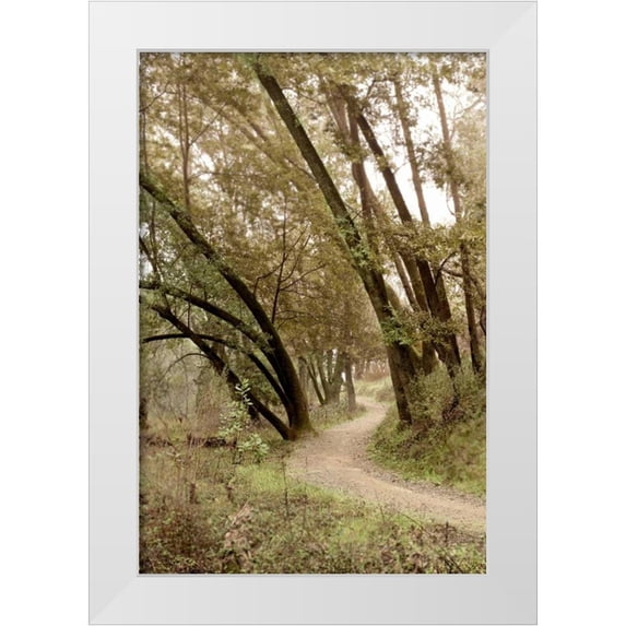 Blaustein, Alan 17x24 White Modern Wood Framed Museum Art Print Titled - Oak Tree - 49