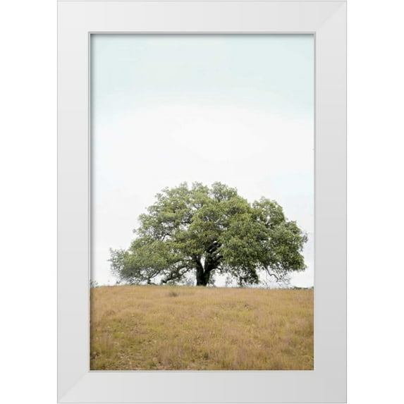 Blaustein, Alan 17x24 White Modern Wood Framed Museum Art Print Titled - Oak Tree - 73