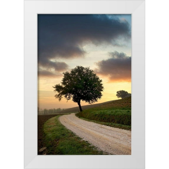 Blaustein, Alan 17x24 White Modern Wood Framed Museum Art Print Titled - Tuscan Farm Road Sunrise #2