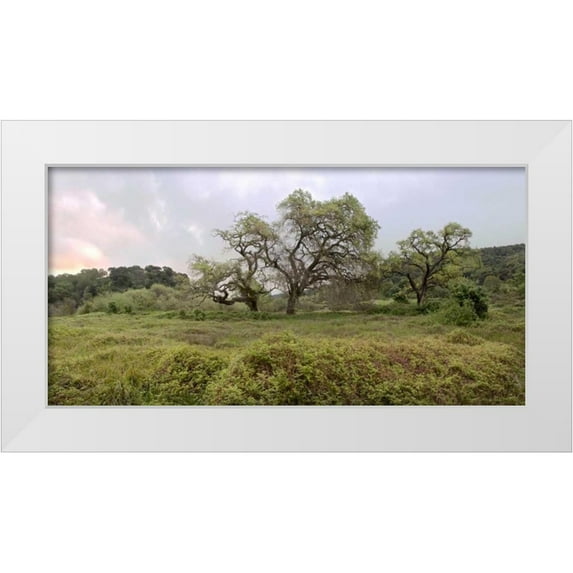 Blaustein, Alan 18x11 White Modern Wood Framed Museum Art Print Titled - Oak Tree Pano - 133