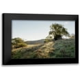 thumbnail image 1 of Blaustein, Alan 18x13 Black Modern Framed Museum Art Print Titled - Oak Tree - 36, 1 of 5
