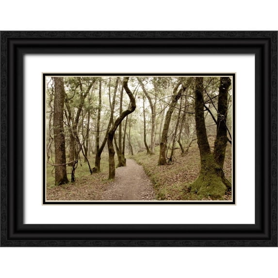 Blaustein, Alan 18x13 Black Ornate Wood Framed with Double Matting Museum Art Print Titled - Oak Tree - 47