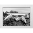 thumbnail image 1 of Blaustein, Alan 18x13 White Modern Wood Framed Museum Art Print Titled - Crescent Beach Shells 3, 1 of 4