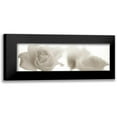 thumbnail image 1 of Blaustein, Alan 18x9 Black Modern Framed Museum Art Print Titled - Florison - 103, 1 of 5