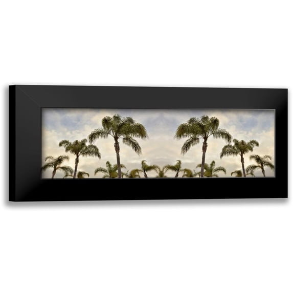 Blaustein, Alan 18x9 Black Modern Framed Museum Art Print Titled - Palm Banner - 2 - Color