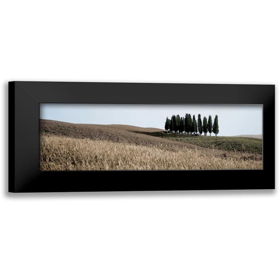 Blaustein, Alan 18x9 Black Modern Framed Museum Art Print Titled - Val d’Orcia Pano - 3
