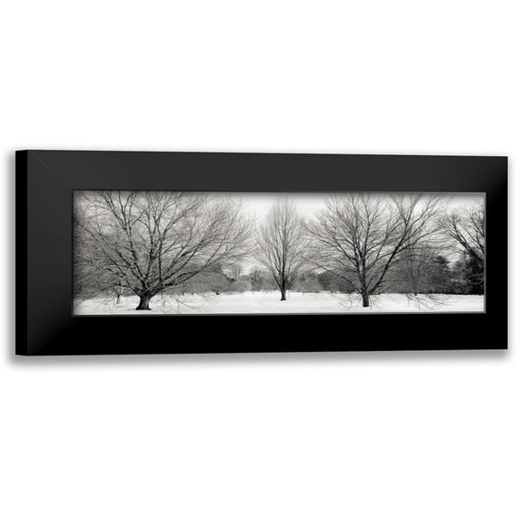 Blaustein, Alan 18x9 Black Modern Framed Museum Art Print Titled - Winter Garden - 1