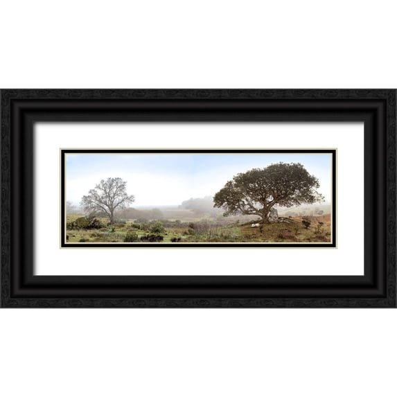 Blaustein, Alan 18x9 Black Ornate Wood Framed with Double Matting Museum Art Print Titled - Sonoma Oak Trees No. 1