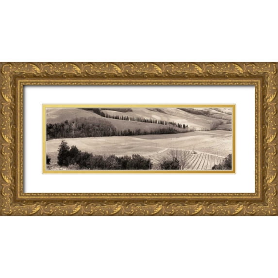 Blaustein, Alan 18x9 Gold Ornate Wood Framed with Double Matting Museum Art Print Titled - San Gimignano Italia