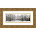 thumbnail image 1 of Blaustein, Alan 18x9 Gold Ornate Wood Framed with Double Matting Museum Art Print Titled - Winter Garden - 1, 1 of 4