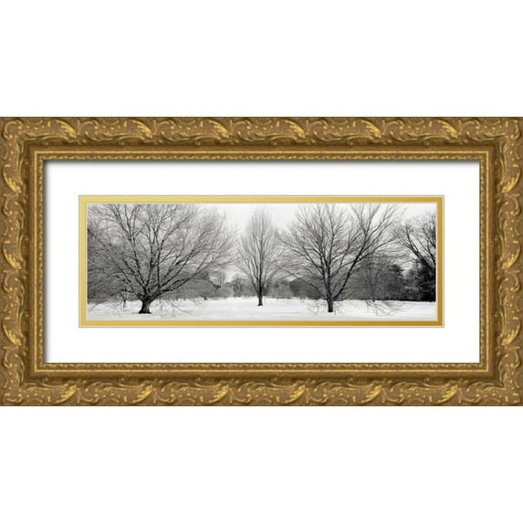 Blaustein, Alan 18x9 Gold Ornate Wood Framed with Double Matting Museum Art Print Titled - Winter Garden - 1