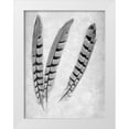 thumbnail image 1 of Blaustein, Alan 19x24 White Modern Wood Framed Museum Art Print Titled - Feathers B-W - 1, 1 of 4