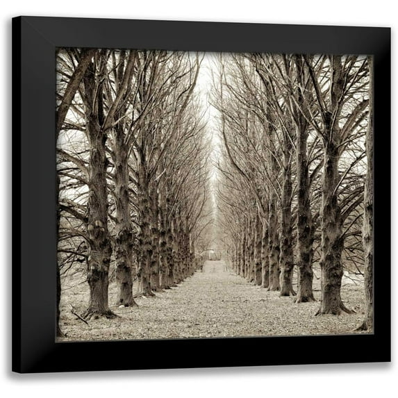Blaustein, Alan 20x20 Black Modern Framed Museum Art Print Titled - Hampton Gates Promenade - 3
