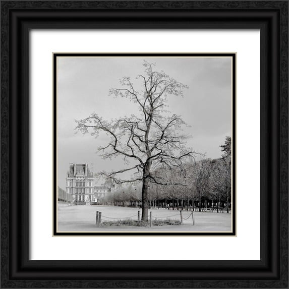 Blaustein, Alan 20x20 Black Ornate Wood Framed with Double Matting Museum Art Print Titled - Paris - 22