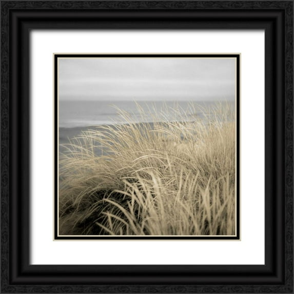Blaustein, Alan 20x20 Black Ornate Wood Framed with Double Matting Museum Art Print Titled - Tuscan Dunes #2A