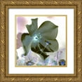 thumbnail image 1 of Blaustein, Alan 20x20 Gold Ornate Wood Framed with Double Matting Museum Art Print Titled - Floral Color - 16, 1 of 4