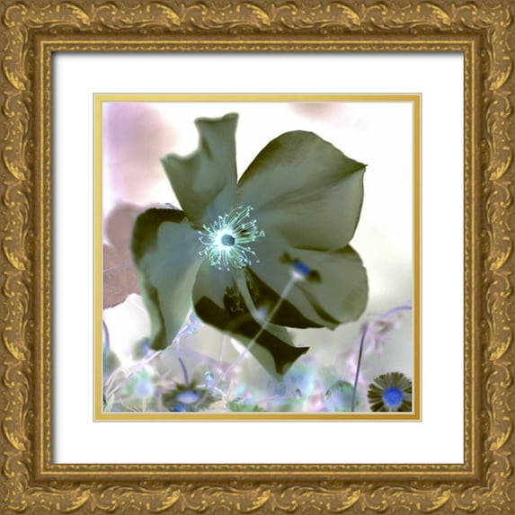 Blaustein, Alan 20x20 Gold Ornate Wood Framed with Double Matting Museum Art Print Titled - Floral Color - 16