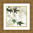 thumbnail image 1 of Blaustein, Alan 20x20 Gold Ornate Wood Framed with Double Matting Museum Art Print Titled - Japanese Maple #2, 1 of 4