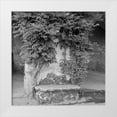 thumbnail image 1 of Blaustein, Alan 20x20 White Modern Wood Framed Museum Art Print Titled - Campagnia - 2, 1 of 4