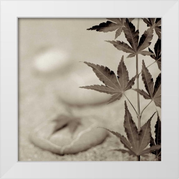 Blaustein, Alan 20x20 White Modern Wood Framed Museum Art Print Titled - Florison - 61