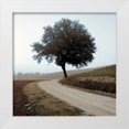 thumbnail image 1 of Blaustein, Alan 20x20 White Modern Wood Framed Museum Art Print Titled - Tuscany - 12, 1 of 4