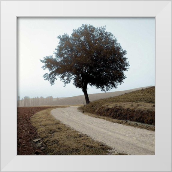 Blaustein, Alan 20x20 White Modern Wood Framed Museum Art Print Titled - Tuscany - 12