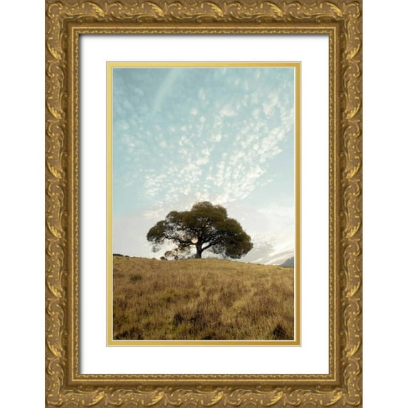 Blaustein, Alan 23x32 Gold Ornate Wood Framed with Double Matting Museum Art Print Titled - Oak Tree - 12