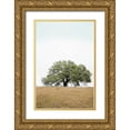 thumbnail image 1 of Blaustein, Alan 23x32 Gold Ornate Wood Framed with Double Matting Museum Art Print Titled - Oak Tree - 73, 1 of 4