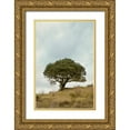 thumbnail image 1 of Blaustein, Alan 23x32 Gold Ornate Wood Framed with Double Matting Museum Art Print Titled - Oak Tree - 74, 1 of 4