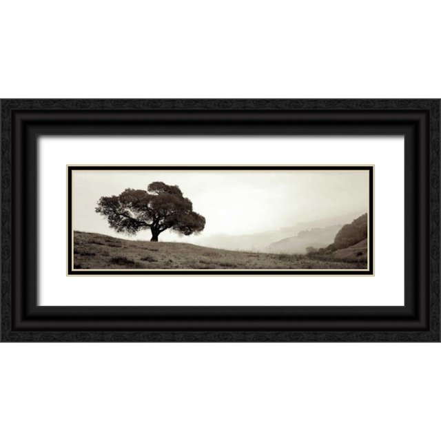 Blaustein, Alan 24x11 Black Ornate Wood Framed with Double Matting Museum Art Print Titled - Black Oak - 1