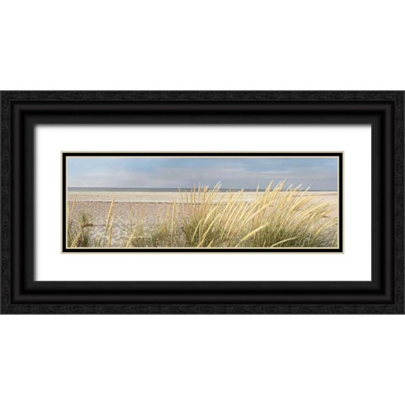 Blaustein, Alan 24x11 Black Ornate Wood Framed with Double Matting Museum Art Print Titled - Island Sand Dunes