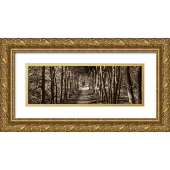 Blaustein, Alan 24x11 Gold Ornate Wood Framed with Double Matting Museum Art Print Titled - Hampton Gates Promenade - 2