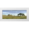 thumbnail image 1 of Blaustein, Alan 24x11 White Modern Wood Framed Museum Art Print Titled - Oak Tree - 82, 1 of 4
