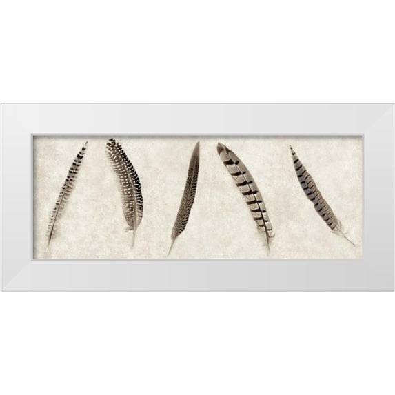 Blaustein, Alan 24x12 White Modern Wood Framed Museum Art Print Titled - Feathers Panel - 1