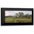 thumbnail image 1 of Blaustein, Alan 24x14 Black Modern Framed Museum Art Print Titled - Oak Tree Pano - 133, 1 of 5