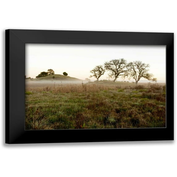 Blaustein, Alan 24x17 Black Modern Framed Museum Art Print Titled - Oak Tree - 33