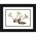 thumbnail image 1 of Blaustein, Alan 24x17 Black Ornate Wood Framed with Double Matting Museum Art Print Titled - Garden Bloom - 22, 1 of 4