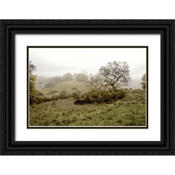 Blaustein, Alan 24x17 Black Ornate Wood Framed with Double Matting Museum Art Print Titled - Oak Tree - 42